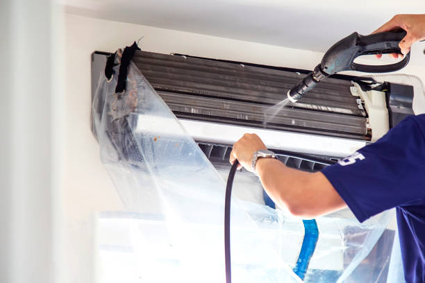 Best Air Vent Cleaning Services  in Lake Panasoffkee, FL