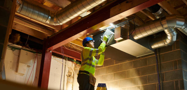 Best Air Duct Mold Removal  in Lake Panasoffkee, FL