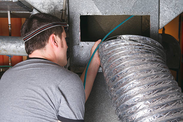 Best Air Duct Sanitizing Services  in Lake Panasoffkee, FL