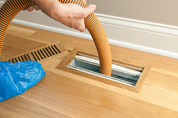 Best Home Air Vent Cleaning  in Lake Panasoffkee, FL